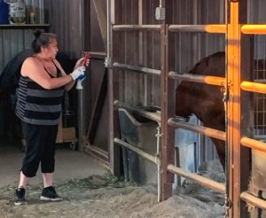 Marylou feeding horses - Phil's home